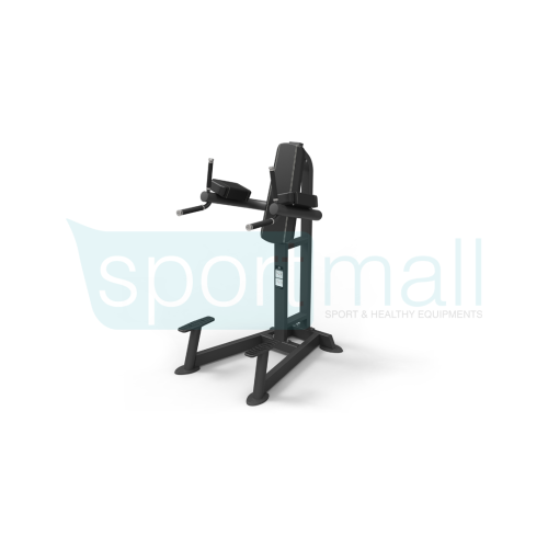 Spirit Leg Raise/Dip sp-4215