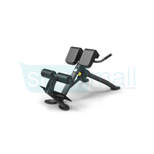 Spirit Back Extension sp-4220